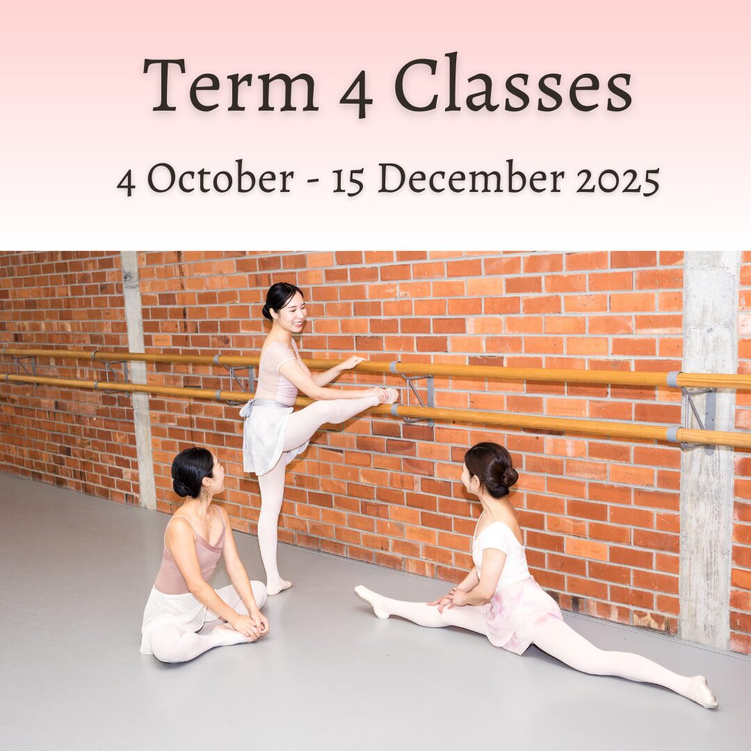 Term 4 Classes 2025
