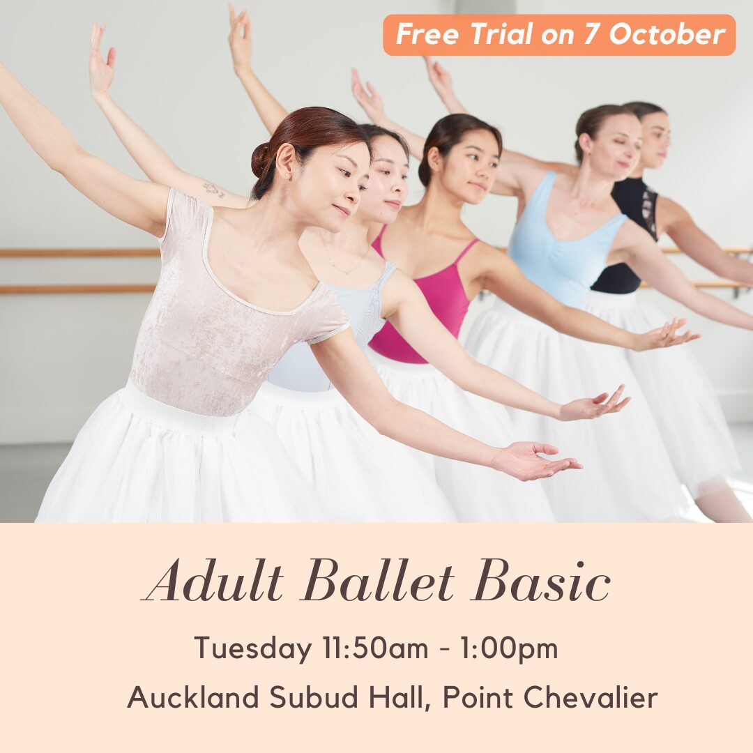 Tuesday Adult Ballet Basic