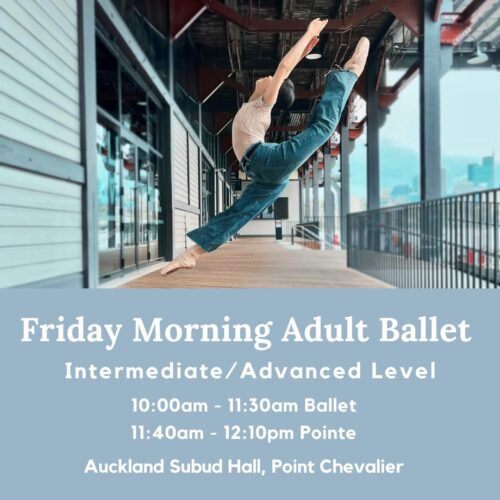 Friday Morning Adult Ballet Intermediate/ Advanced