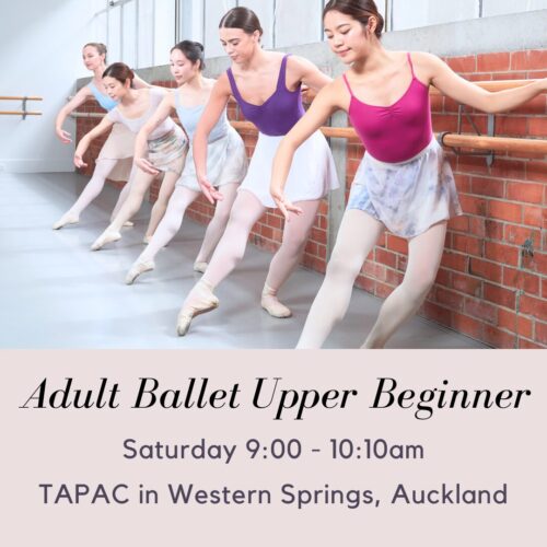 Saturday Adult Ballet Upper Beginner