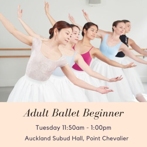 Tuesday Adult Ballet Beginner