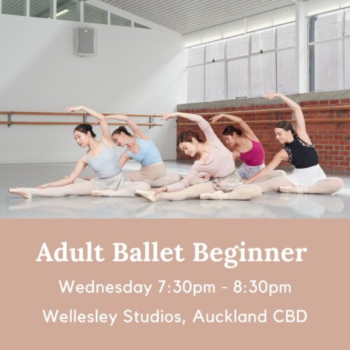 Wednesday Adult Ballet Beginner