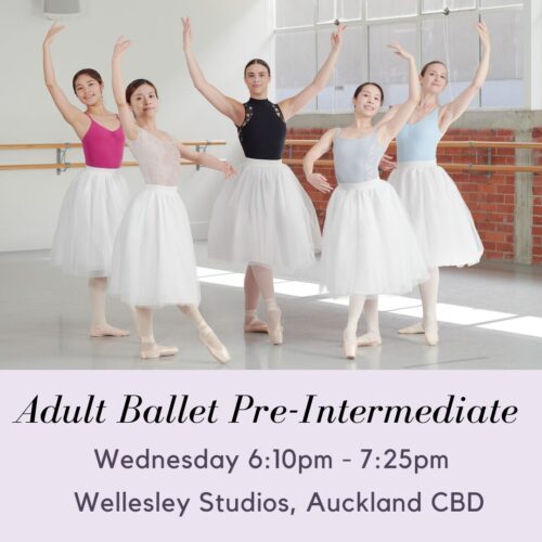 Wednesday Adult Ballet Pre-Intermediate