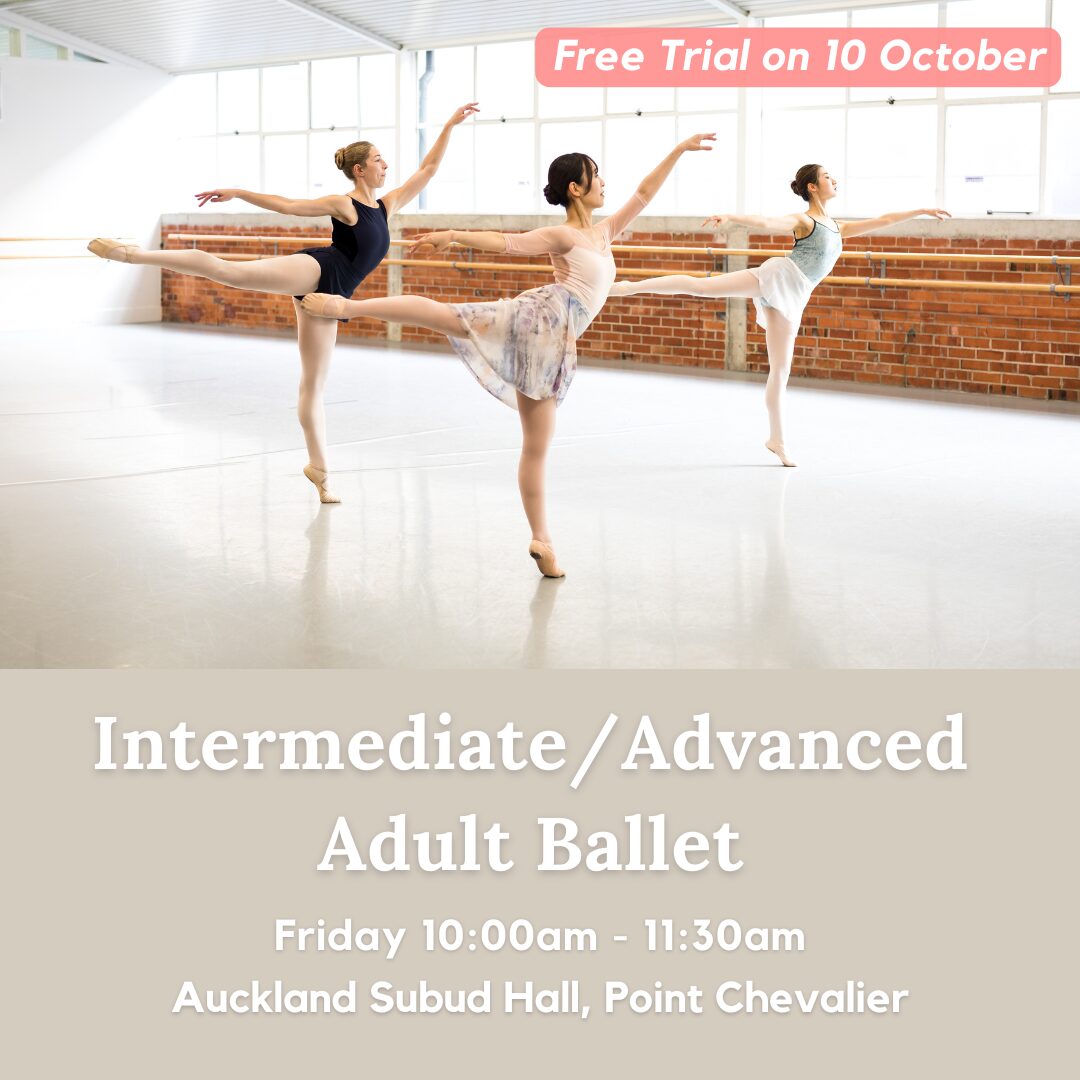 Friday Morning Intermediate Ballet Promo