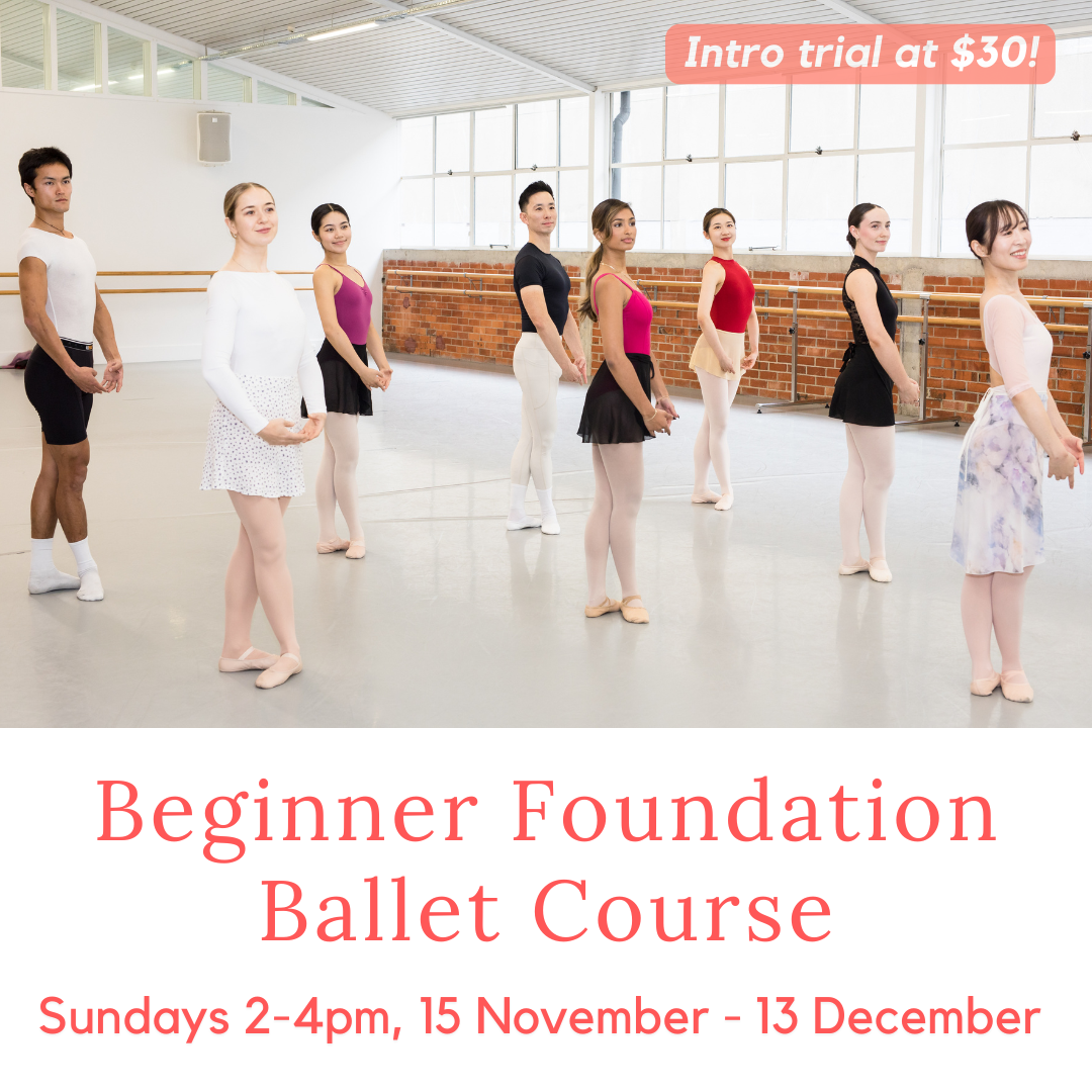 Beginner Foundation Course 2026 Term 4