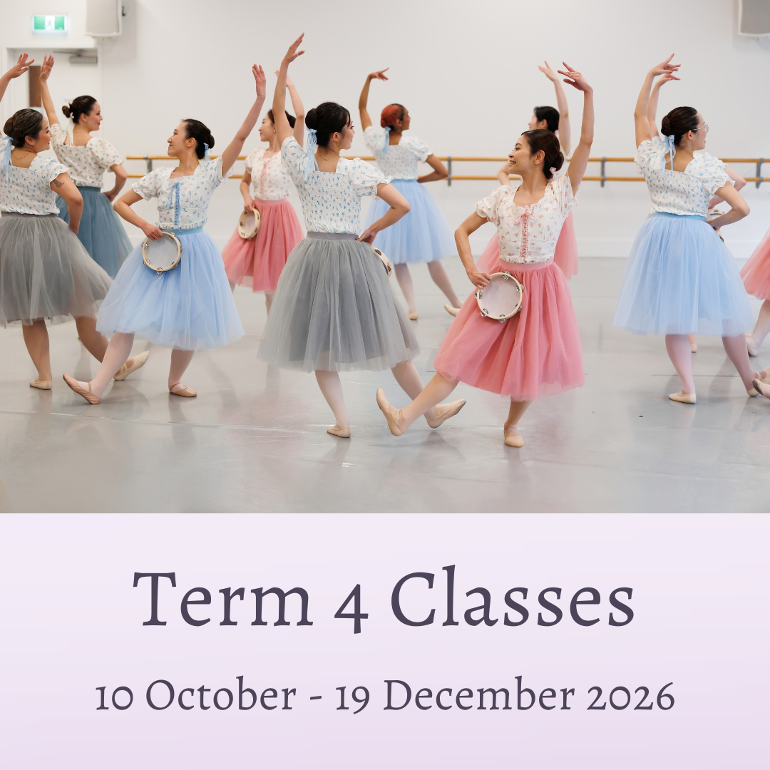 Term 4 Classes 2026
