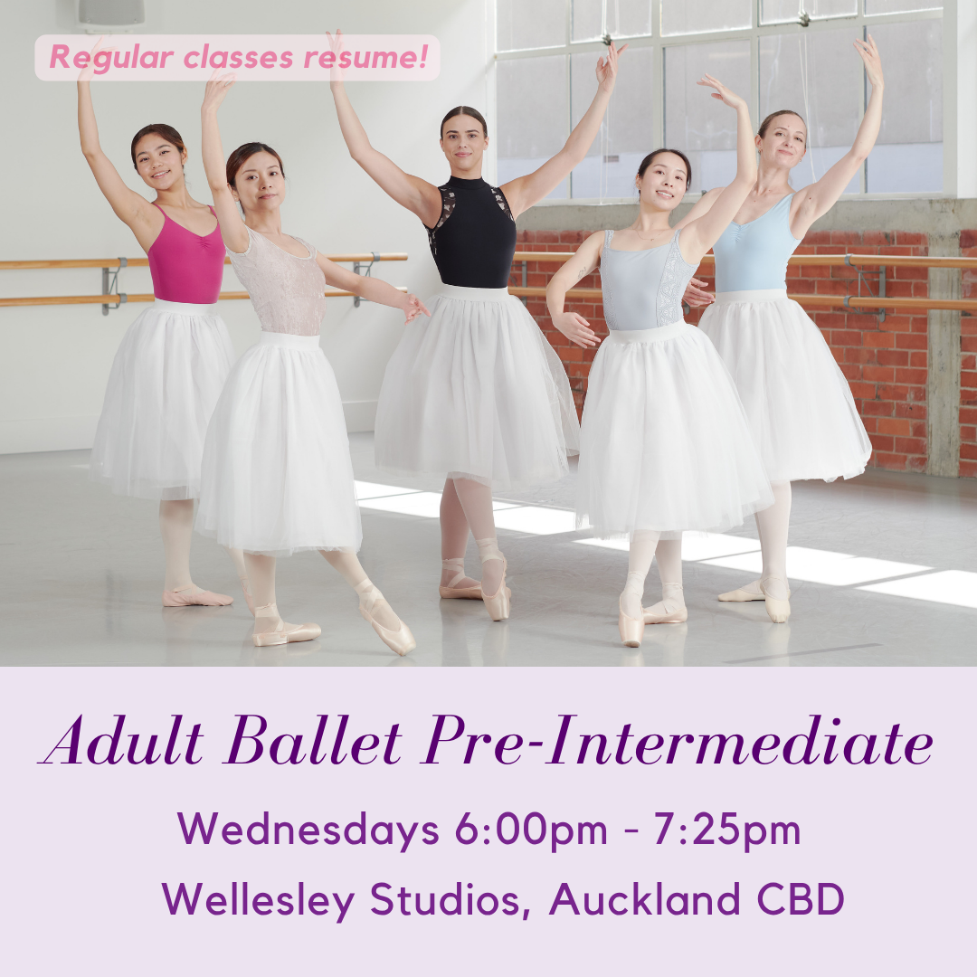 Wednesday Adult Ballet Pre-Intermediate